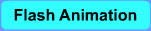 flash animation
