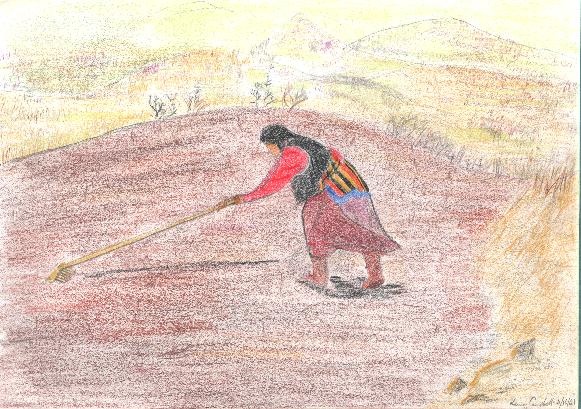 This drawing of a Tibetan hill farmer, I did in France in October, 2001. If you are wondering why did I draw a Tibetan rather than a French farmer? Well, you should try to go out more.... 