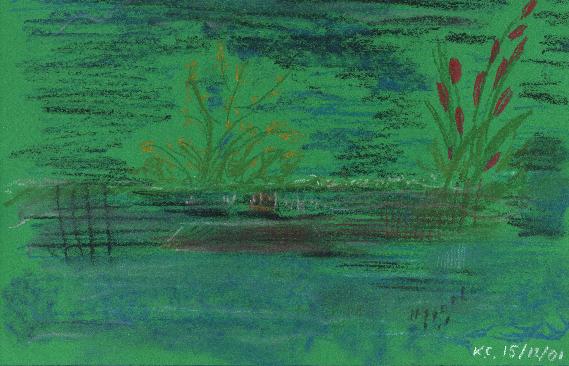 This is like a dream of mine with enchanted gardens and fluorescent plants...