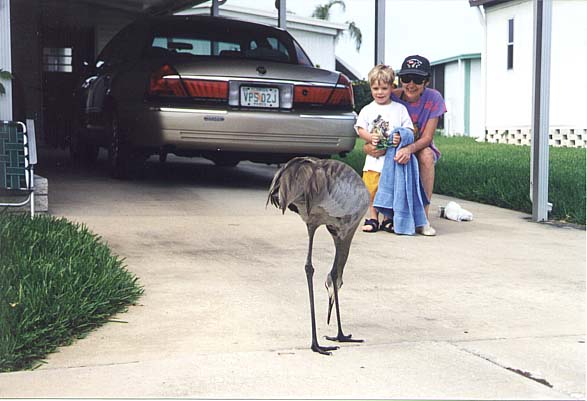 That's a big bird mommie!