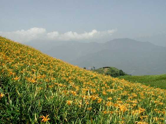  Sixteen Stones Mountain Scenery