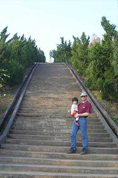 On Step 378 of the 594 required to climb to reach this statue. 