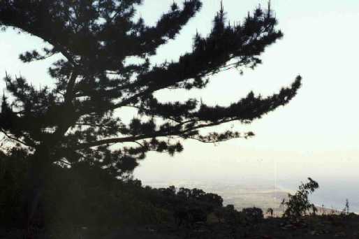 Ocean View from Le-San (Happy Mountain)