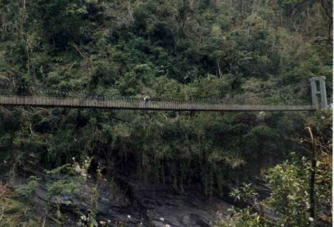 Bridge along the Walami Trail