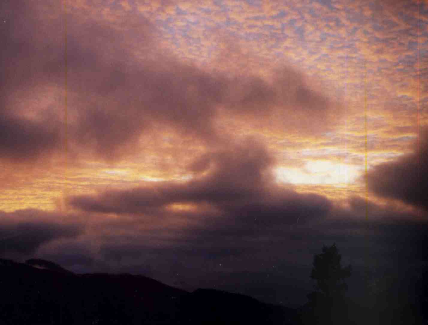 You gotta wake up at 4 AM to see this....&nbsp; 