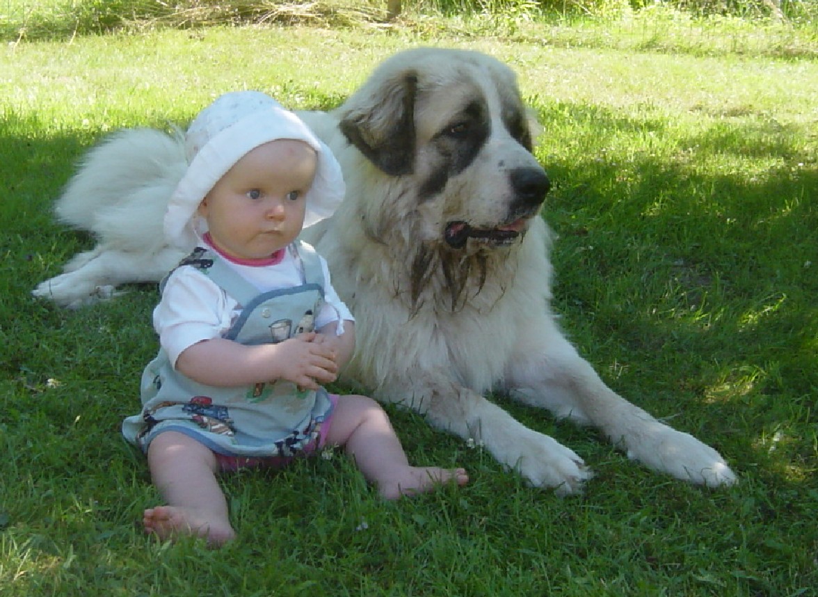 Jenna and Nalle