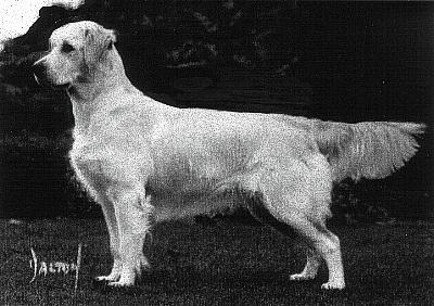 (c) Kennel Garbank
