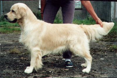 (c) Kennel Garbank