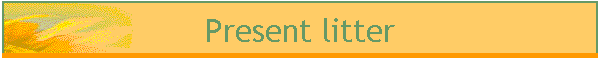 Present litter