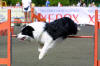 Photo: Jari Nevalainen