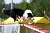 Photo: Jari Nevalainen