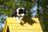 Photo: Maija Vinnikka