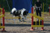 Photo: Veli-Pekka Suuronen & Eija Tyypp�