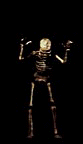 Fugly Skeleton!!