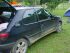 Paraty Mirim - Camping