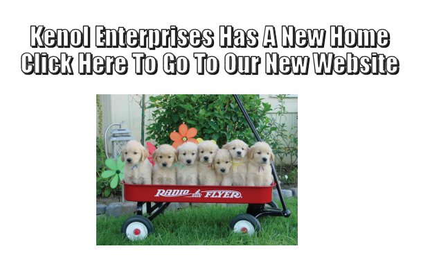 Click To Go To New Website