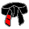 10th Degree Black Belt
