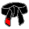 6th Degree Black Belt