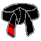 7th Degree Black Belt