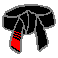 8th Degree Black Belt