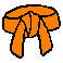 belt_orange.gif (748 bytes)