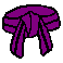 belt_purplea.gif (1935 bytes)