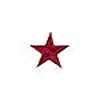patch_red_star.gif (2684 bytes)