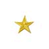 patch_yellow_star.gif (2918 bytes)
