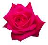 clipart_nature_055.gif (5950 bytes)