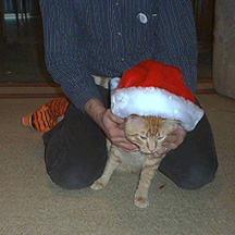 Ho Ho Ho!!!