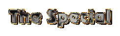 Computer Service Special