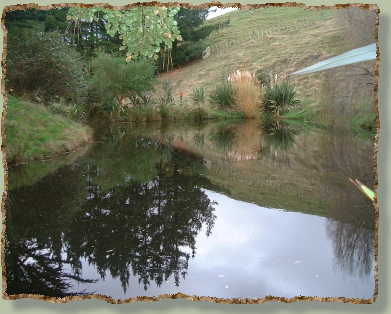 dam near house