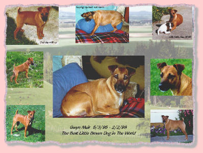 Gwyn and farm photos