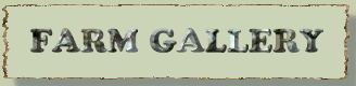 farm gallery logo