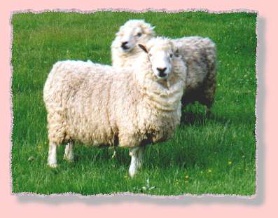 Heather and Candy