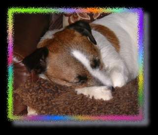 Josh asleep