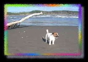 Josh at beach