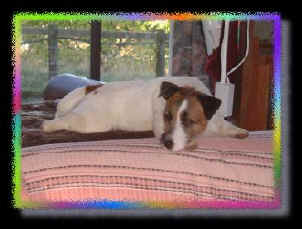 Josh on back of couch