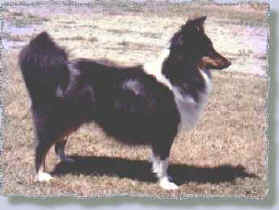 Kas young