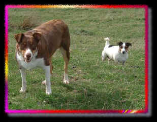 Katie and Ruby