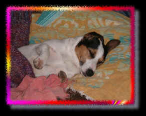 Katie snuggled up in beanbag