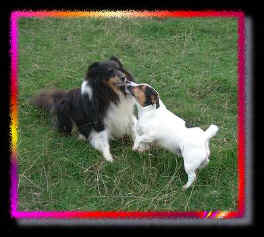 Katie smooching to Bradley