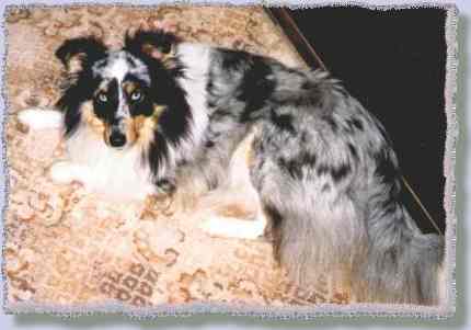 Lucy on mat