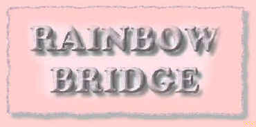 Rainbow Bridge Logo