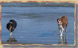 Kayla and I love it at the beach