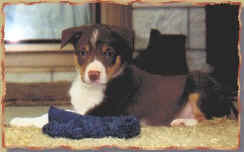 Ruby 6 weeks