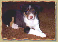 Ruby 6 weeks