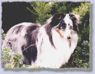 Tessa on bank