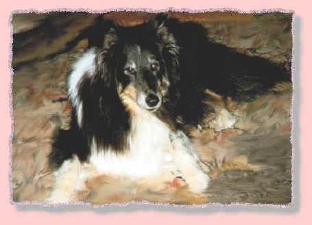 Kas lying down, old
