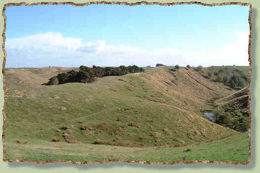back paddock